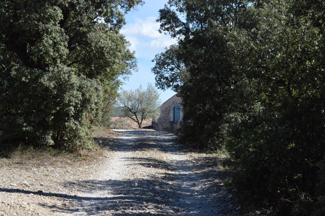 Ferme De Palumiane - Chambres Climatisees Visan ภายนอก รูปภาพ