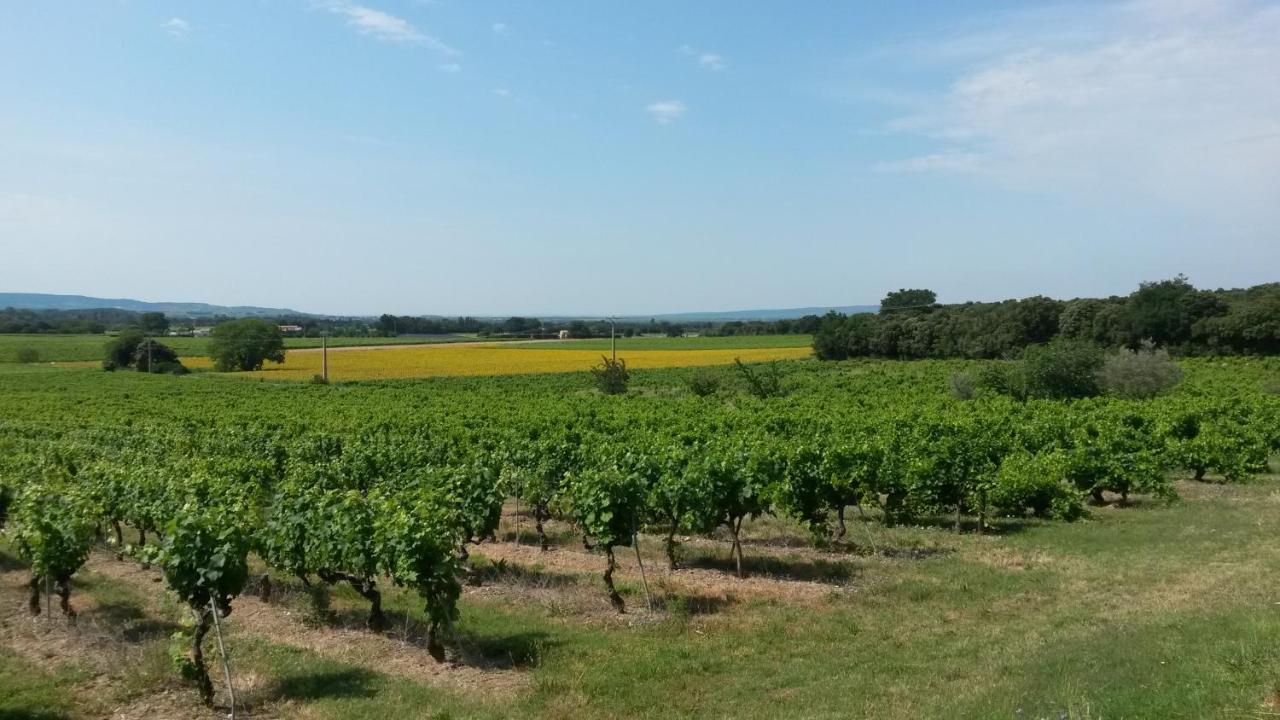 Ferme De Palumiane - Chambres Climatisees Visan ภายนอก รูปภาพ