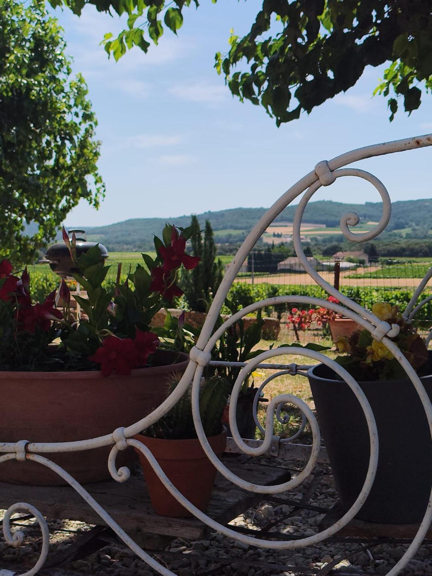 Ferme De Palumiane - Chambres Climatisees Visan ภายนอก รูปภาพ
